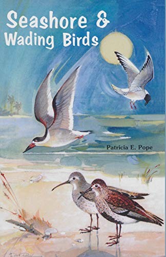Seashore and wading birds - wading,